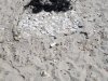 20190506_154552