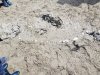 20190506_154655
