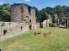 IMG_20210614_151329