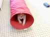 IMG-20220927-WA0017