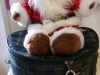 20181220_102748